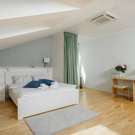 Eli Spacious With Old Town View, Parking & Ac Appartamento