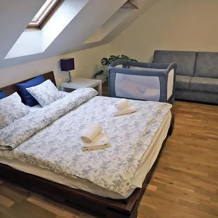 Eli Spacious With Old Town View, Parking & Ac Lejlighed