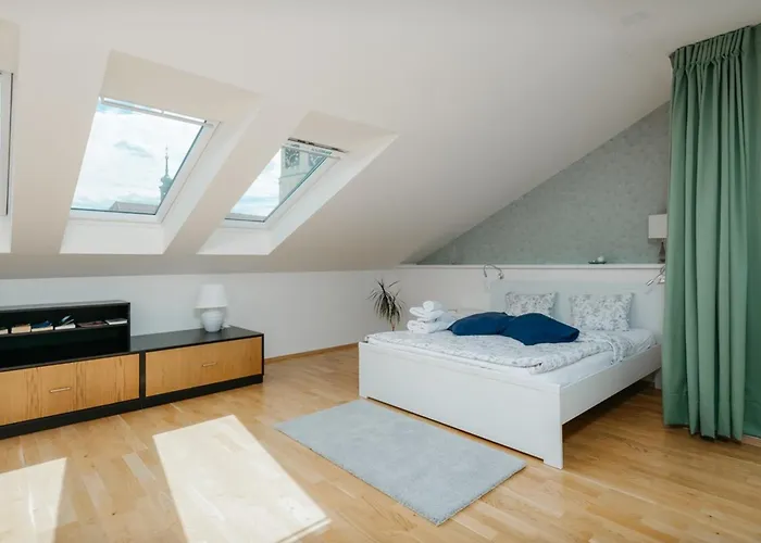 Eli Spacious With Old Town View, Parking & Ac Apartment