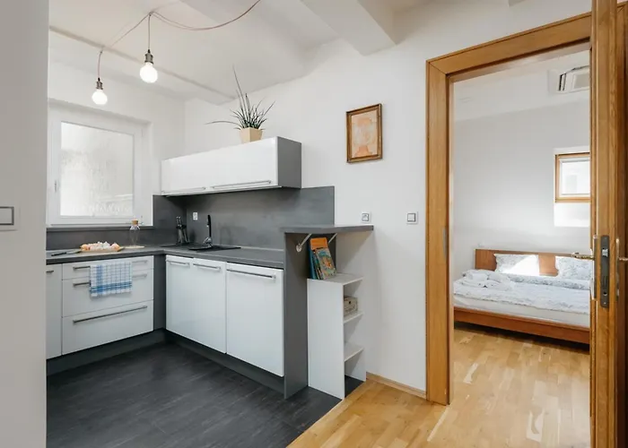 Apartment Eli Spacious With Old Town View, Parking & Ac Prague