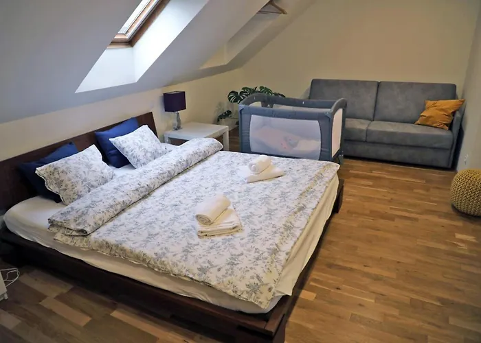 Eli Spacious With Old Town View, Parking & Ac Appartement